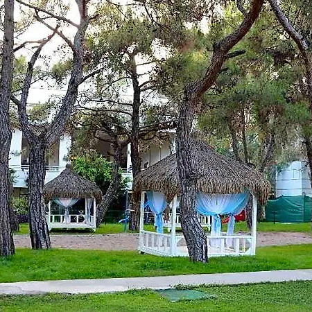 Fun Sun Family Club Saphire 5*
